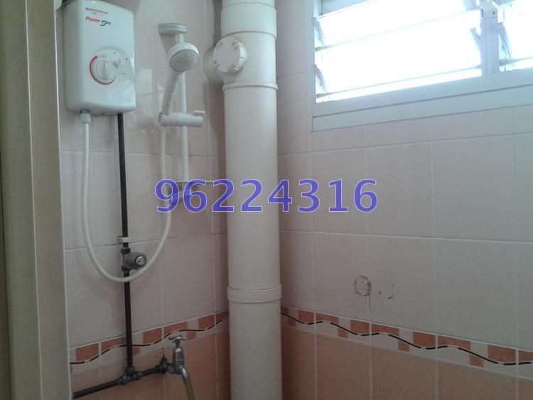 Blk 8 Holland Avenue (Queenstown), HDB 3 Rooms #163218392